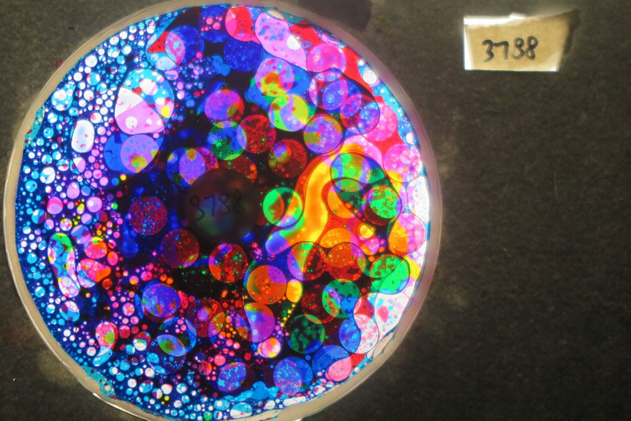 BV3788 bubble vision oil wheel